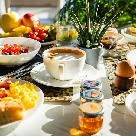 One Design リミニ